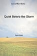 Quiet Before the Storm